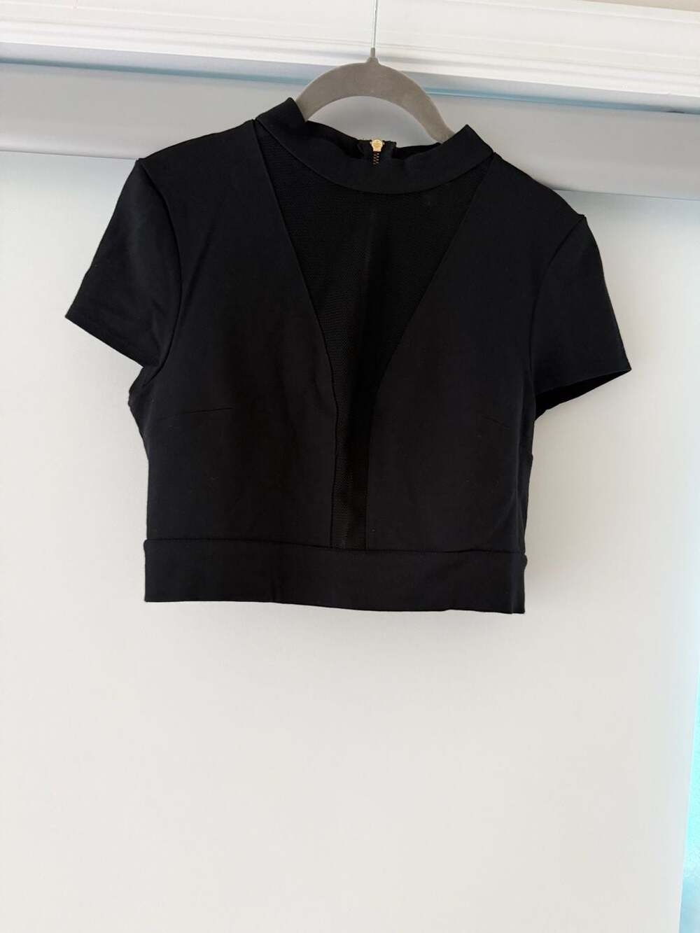 Express Black Mesh Panel Short Sleeve Crop Top with Back Zipper